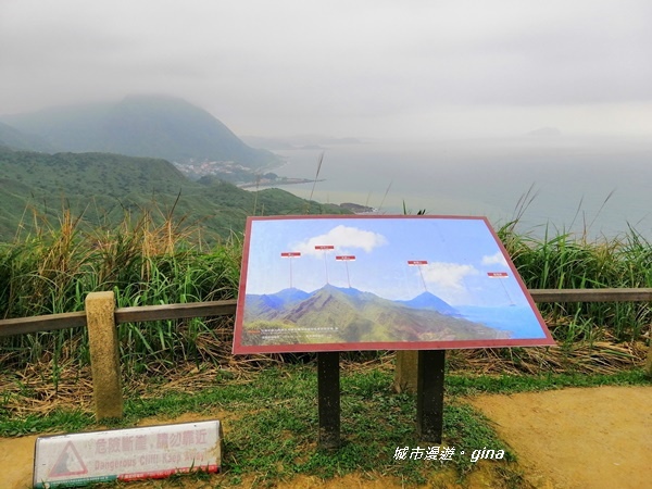 IMG_20190329_164727.jpg IMG_20190329_164727.jpg