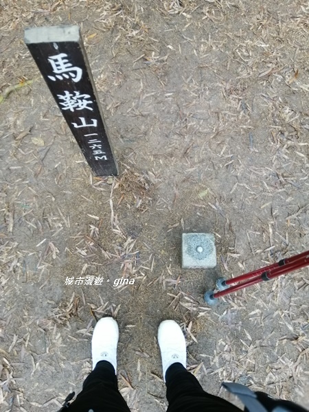 IMG_20190323_100303.jpg IMG_20190323_100303.jpg