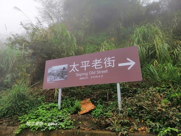 IMG_20190323_100333.jpg IMG_20190323_100333.jpg