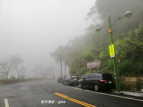 IMG_20190323_100358.jpg IMG_20190323_100358.jpg