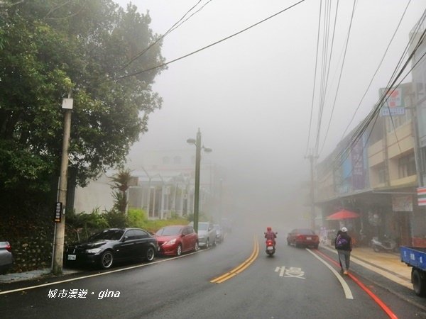 IMG_20190323_100351.jpg IMG_20190323_100351.jpg