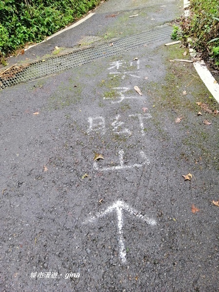 IMG_20190323_103657.jpg IMG_20190323_103657.jpg