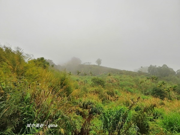 IMG_20190323_104229.jpg IMG_20190323_104229.jpg