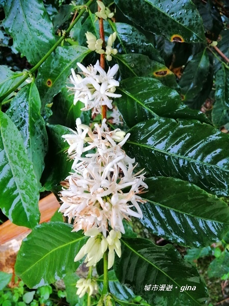 IMG_20190323_103915.jpg IMG_20190323_103915.jpg