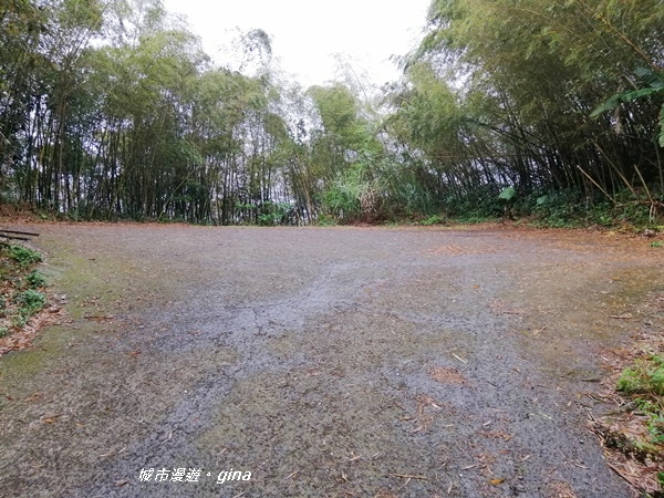 IMG_20190323_104317.jpg IMG_20190323_104317.jpg