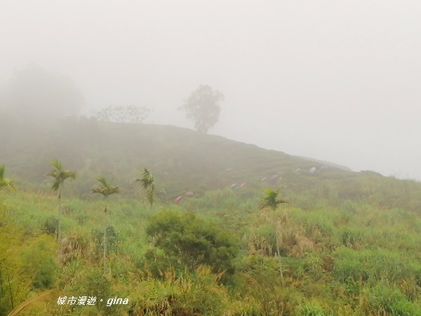 IMG_20190323_104246.jpg IMG_20190323_104246.jpg