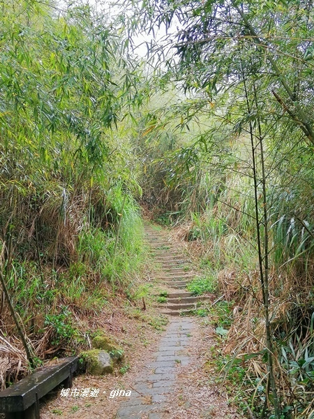 IMG_20190323_104330.jpg IMG_20190323_104330.jpg