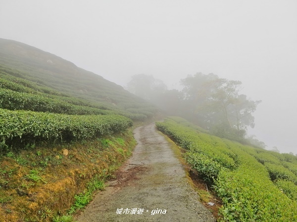 IMG_20190323_105530.jpg IMG_20190323_105530.jpg