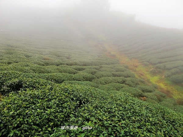 IMG_20190323_110011.jpg IMG_20190323_110011.jpg