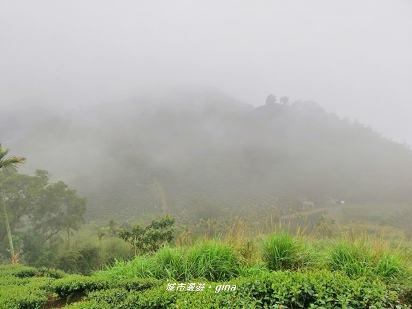 IMG_20190323_105646.jpg IMG_20190323_105646.jpg