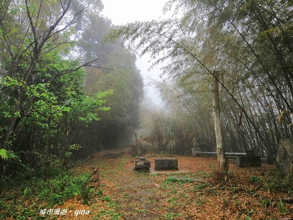 IMG_20190323_111917.jpg IMG_20190323_111917.jpg