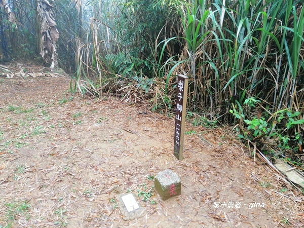 IMG_20190323_111935.jpg IMG_20190323_111935.jpg