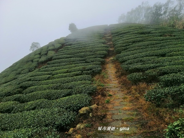 IMG_20190323_113402.jpg IMG_20190323_113402.jpg