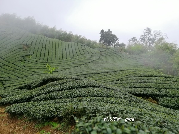 IMG_20190323_115401.jpg IMG_20190323_115401.jpg