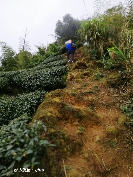 IMG_20190323_115259.jpg IMG_20190323_115259.jpg