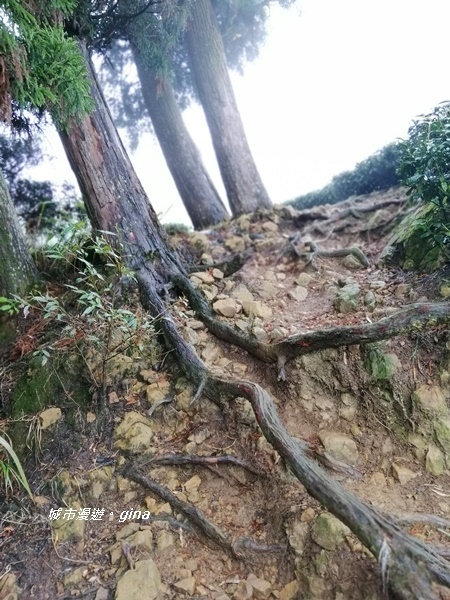 IMG_20190323_120137.jpg IMG_20190323_120137.jpg