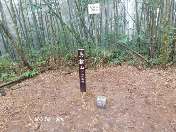 IMG_20190323_121303.jpg IMG_20190323_121303.jpg