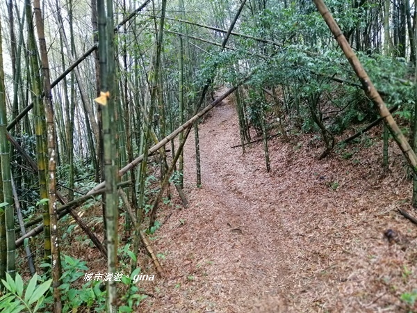 IMG_20190323_121150.jpg IMG_20190323_121150.jpg