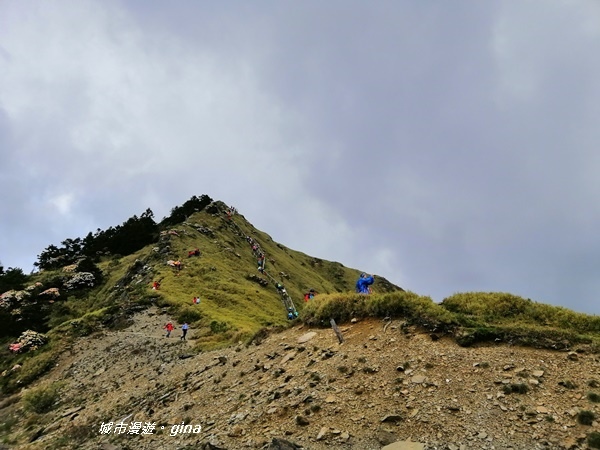 【南投仁愛】最親民的百岳。No70百岳~石門山~3237M