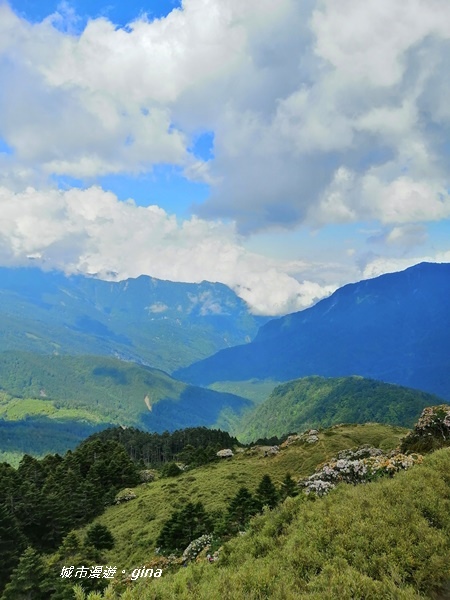 【南投仁愛】最親民的百岳。No70百岳~石門山~3237M