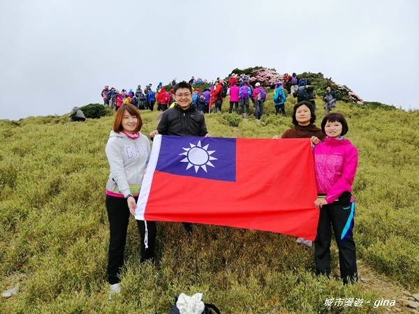 【南投仁愛】百岳賞花嘉年華。No35百岳~合歡東峰3421M