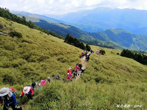 【南投仁愛】百岳賞花嘉年華。No35百岳~合歡東峰3421M