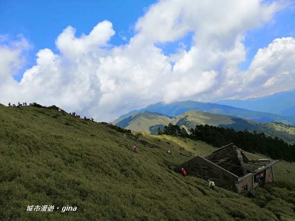 【南投仁愛】百岳賞花嘉年華。No35百岳~合歡東峰3421M