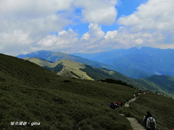 【南投仁愛】百岳賞花嘉年華。No35百岳~合歡東峰3421M