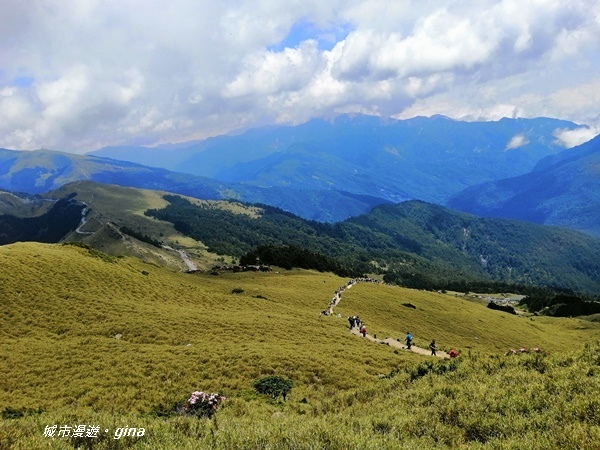 【南投仁愛】百岳賞花嘉年華。No35百岳~合歡東峰3421M