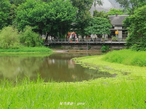 【台北信義】探訪古蹟賞創意。 松山文創園區