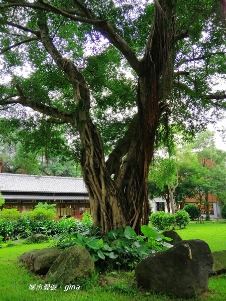 【台北中正】時光旅程。 紀州庵文學森林