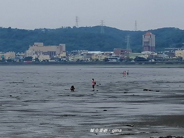 【新竹香山】優美的夕陽餘暉。香山濕地