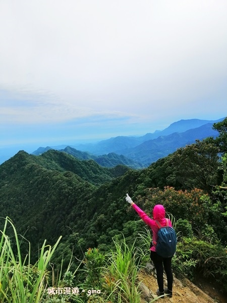 IMG_20190622_074732.jpg IMG_20190622_074732.jpg