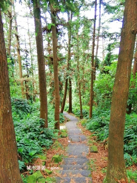 IMG_20190622_080319.jpg IMG_20190622_080319.jpg