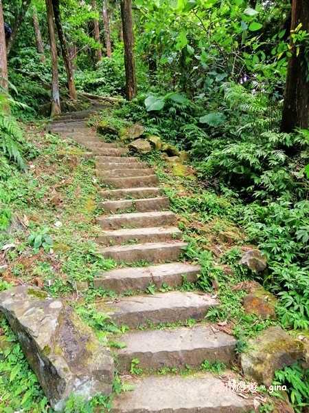 IMG_20190622_080709.jpg IMG_20190622_080709.jpg