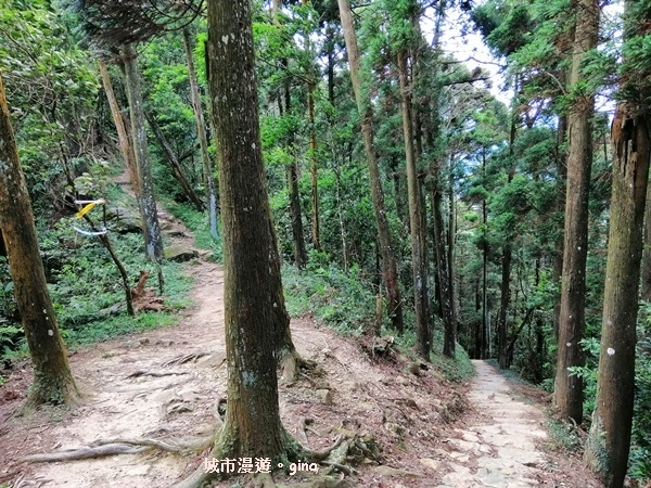 IMG_20190622_081320.jpg IMG_20190622_081320.jpg