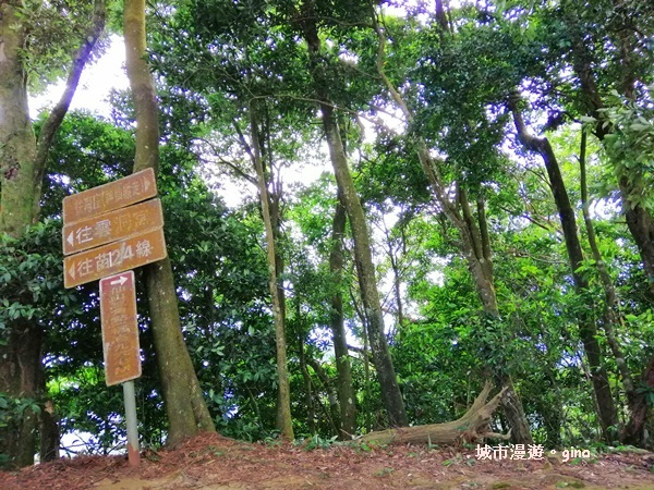 IMG_20190622_081458.jpg IMG_20190622_081458.jpg