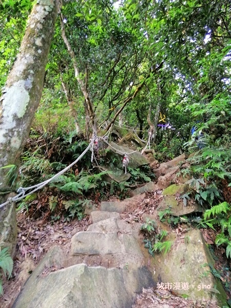 IMG_20190622_082057.jpg IMG_20190622_082057.jpg