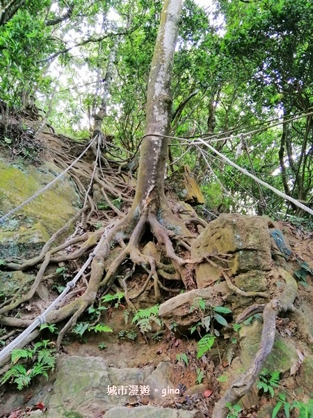 IMG_20190622_082705.jpg IMG_20190622_082705.jpg