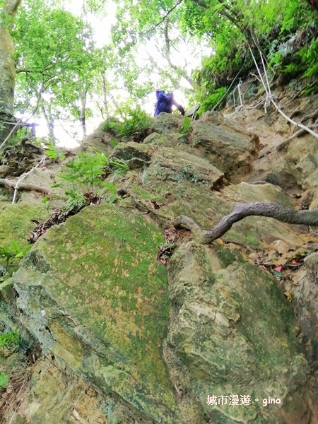 IMG_20190622_082817.jpg IMG_20190622_082817.jpg