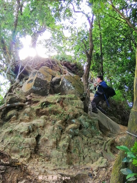 IMG_20190622_083706.jpg IMG_20190622_083706.jpg