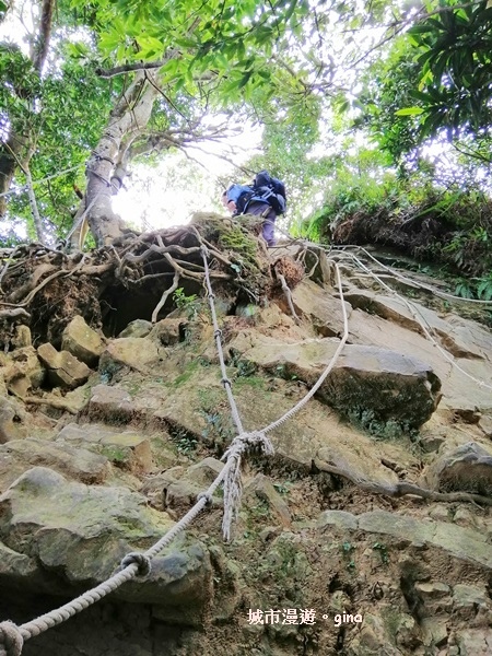 IMG_20190622_083908.jpg IMG_20190622_083908.jpg