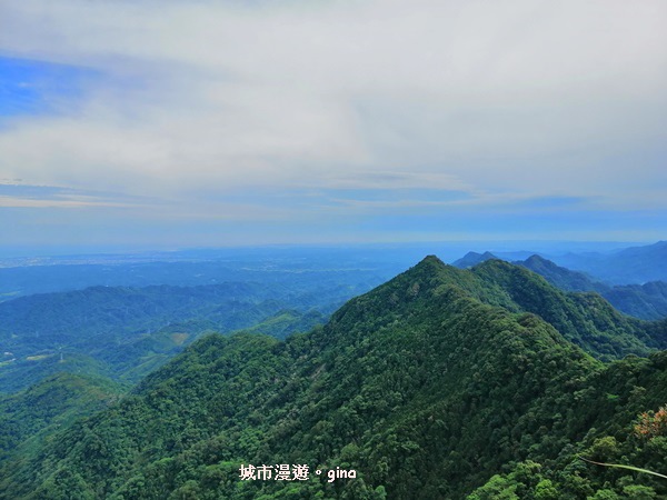 IMG_20190622_084426.jpg IMG_20190622_084426.jpg