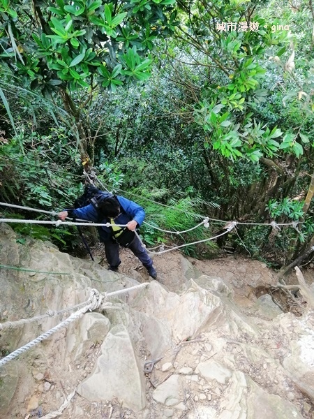 IMG_20190622_091014.jpg IMG_20190622_091014.jpg