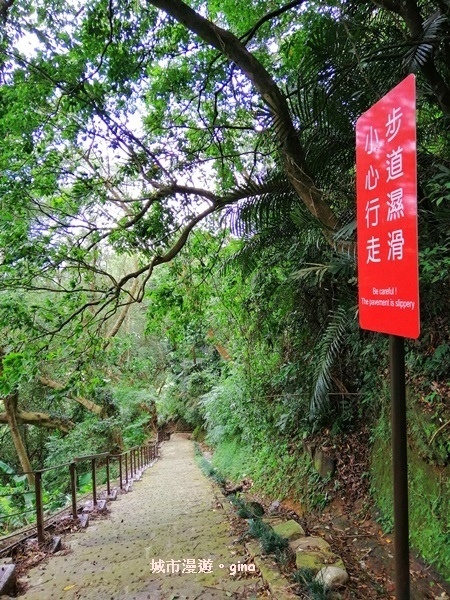 【苗栗南庄】山風徐徐涼如秋。 No29小百岳~獅頭山