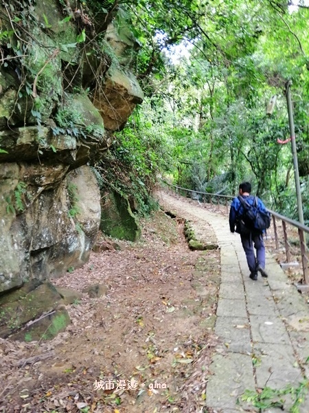 【苗栗南庄】山風徐徐涼如秋。 No29小百岳~獅頭山