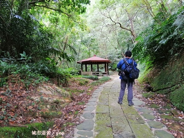 【苗栗南庄】山風徐徐涼如秋。 No29小百岳~獅頭山