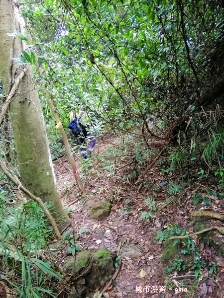 【苗栗南庄】山風徐徐涼如秋。 No29小百岳~獅頭山