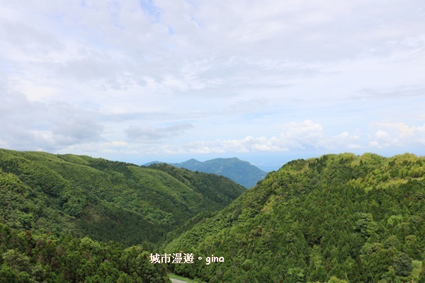 【雲林古坑】360度環景好視野。雲嶺之丘x杉木林步道