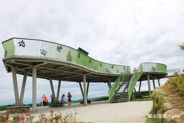 【雲林古坑】360度環景好視野。雲嶺之丘x杉木林步道